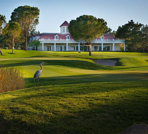 Image of crane on golf course with clubhouse in background.